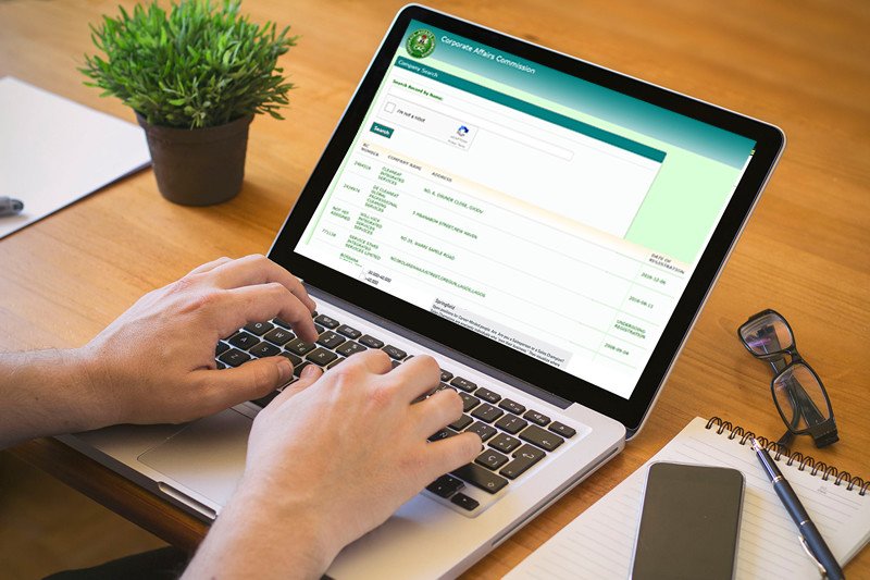 Free Nigerian Company Name Check